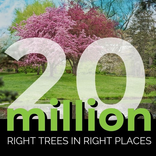 20 million right trees in right places Square