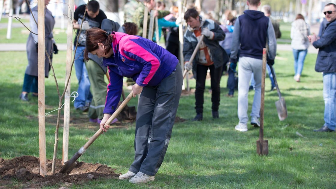 A New Day for Urban Forestry Funding