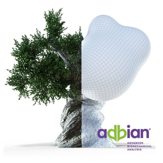 Adbian