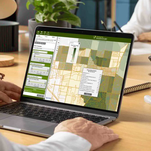 Analyzing and Monitoring Tree Canopy Data  A Strategy for Sustainable and Equitable Urban Forests in Garland TexasSQ