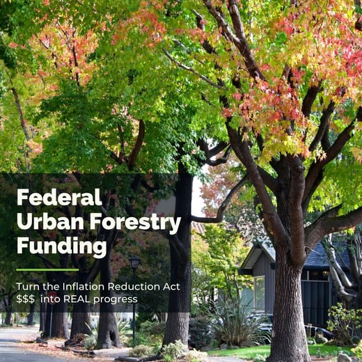 Federal Urban Forestry Funds