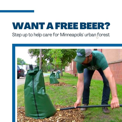 Free Beer