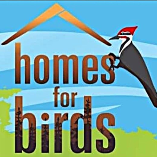 Homes for Birds