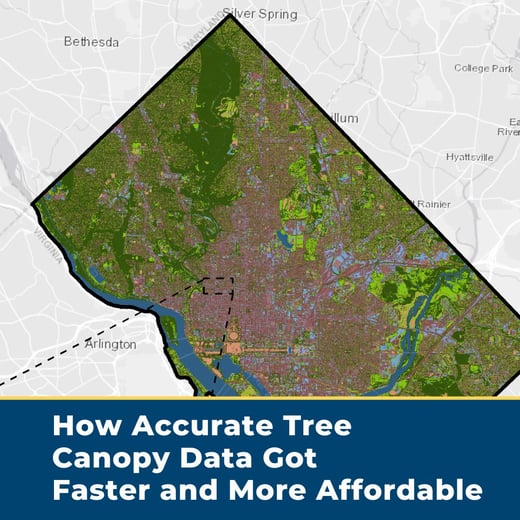 How Accurate Tree Canopy Data Got Faster and More Affordable