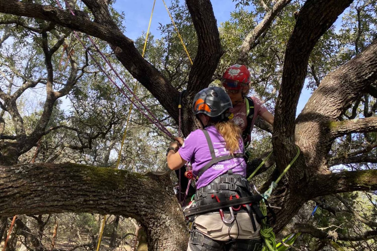 How the Women’s Tree Climbing Workshop provides invaluable experience 2