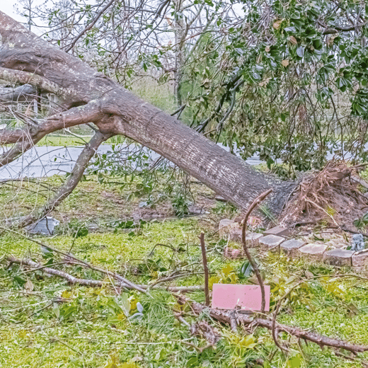 Hurricane Michael Florida