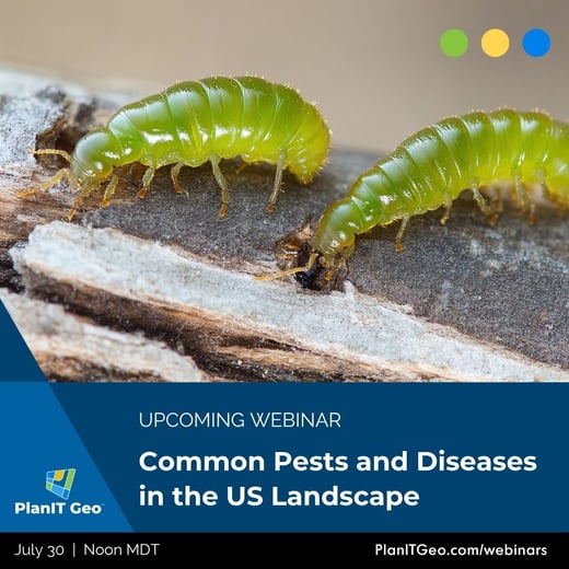 INsta Common Pests and Diseases in the US Landscape Upcoming Webinar