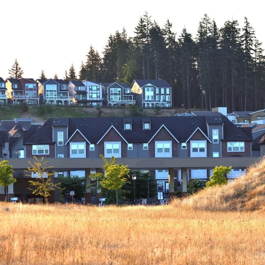 Issaquah Tree Canopy Assessment