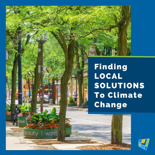 Local Solutions Sq