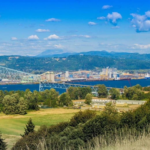 Longview Tree Canopy Assessment_Washington