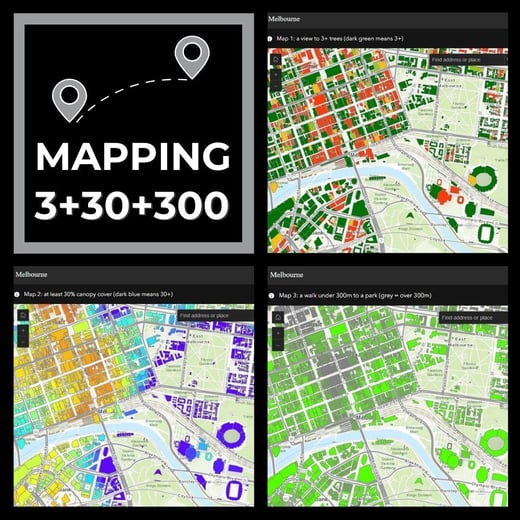Mapping  3+30+300