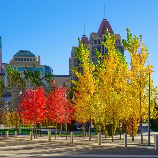 Mississauga sq