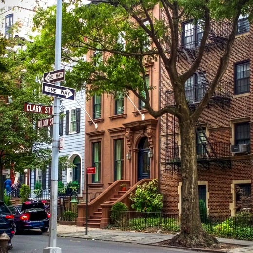 NY