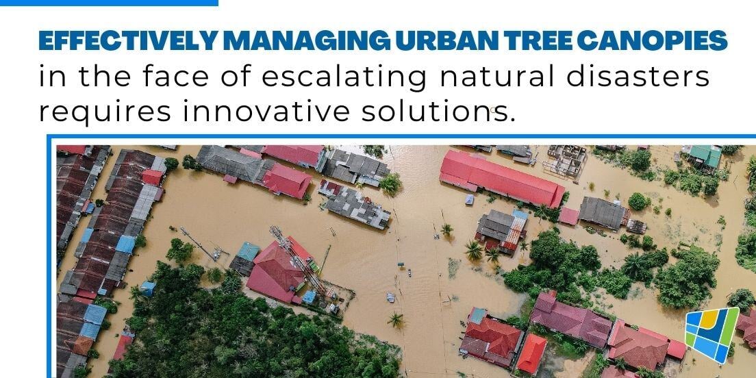 Nat Disaster