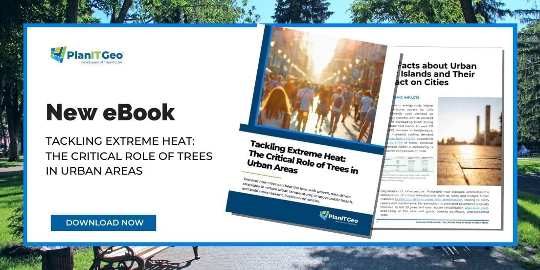 New eBook