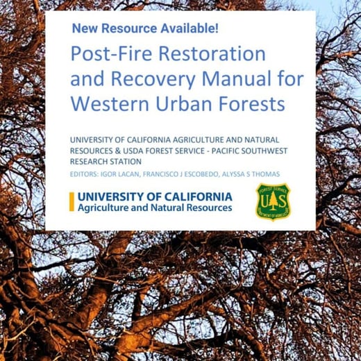 Post Fire Restoration and Recovery
