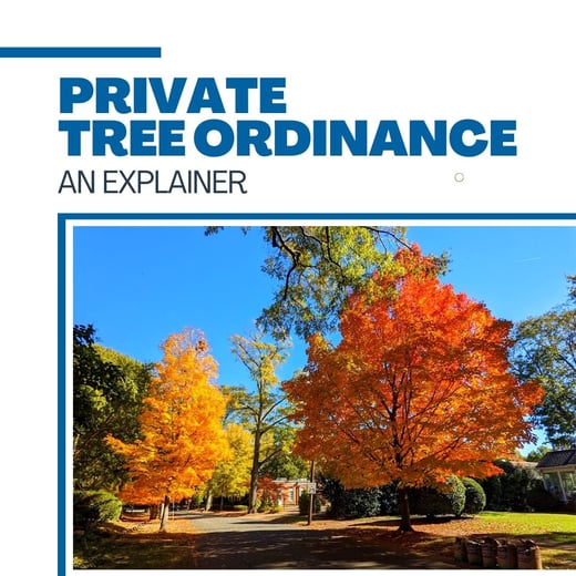 Private Tree Ordinance an explainer sq
