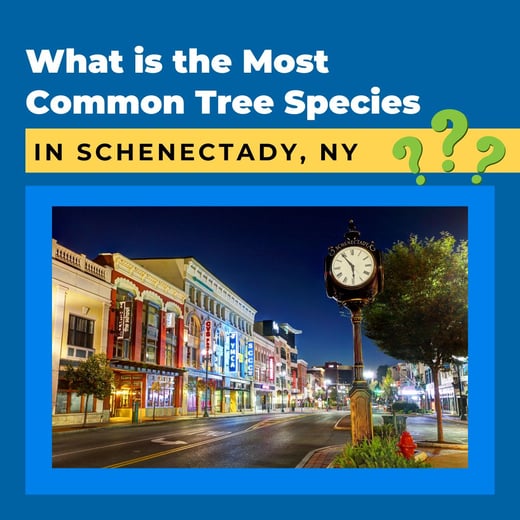 SCHENECTADY