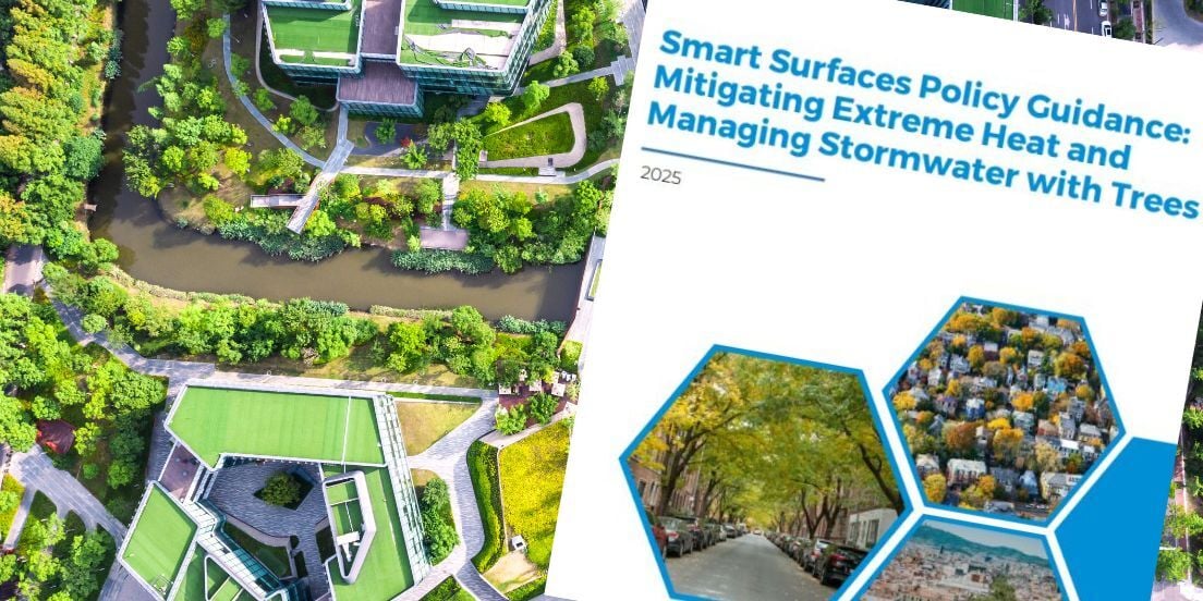 Smart Surfaces Policy