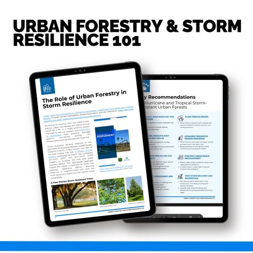 Storm resilience