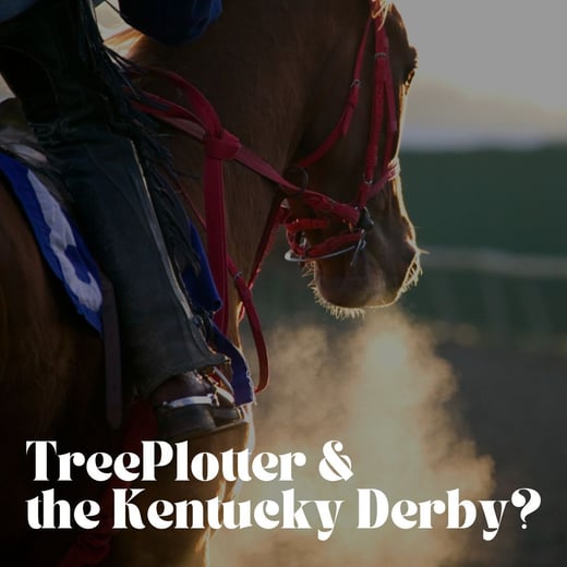 TP Derby