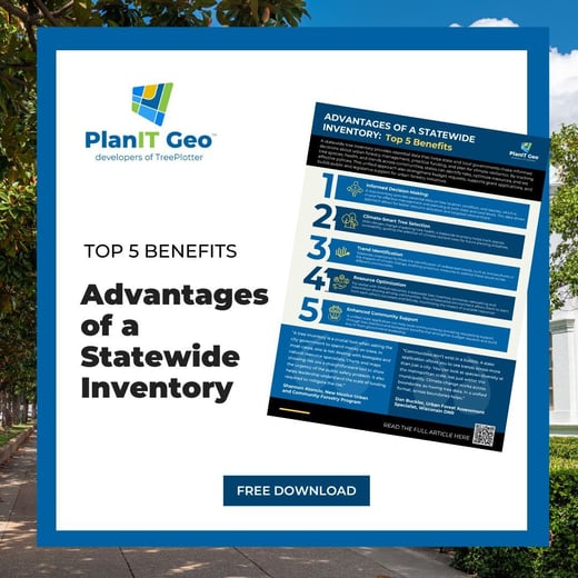 Top 5 Benefits of Statewide Tree Inventory SQ
