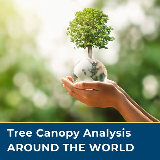 Tree Canopy Analysis Around the World webinar from PlanIT Geo
