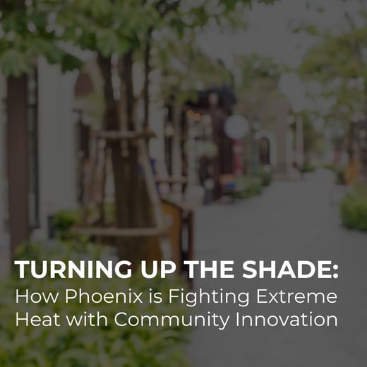 Turning Up the Shade Phoenix