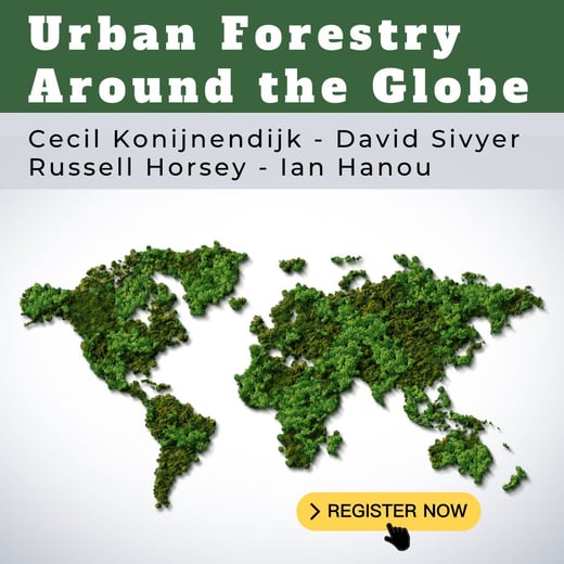 Urban Forestry Around the Globe square