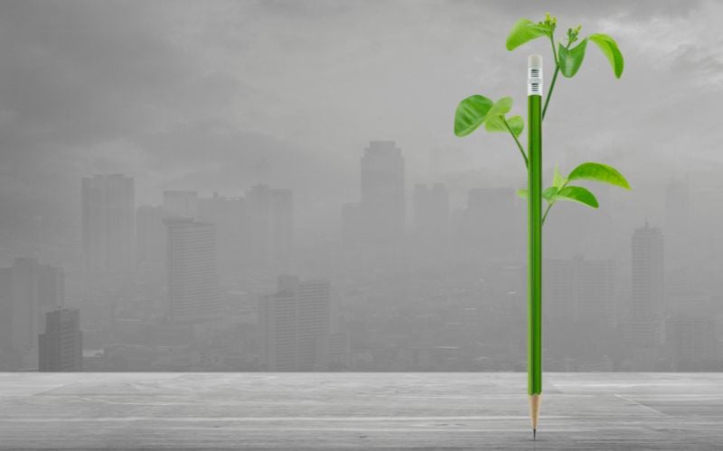 Urban Forestry Grant Resource Page