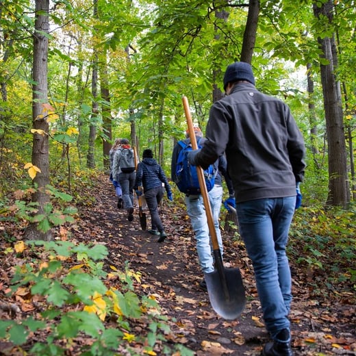 What Are Urban Forested Natural Areas