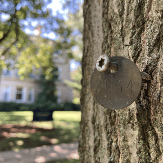 YALE Sustainability