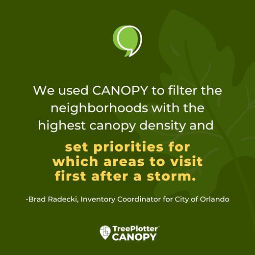 canopy sq