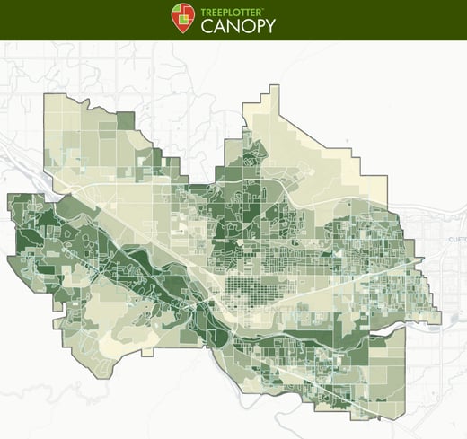 canopy_contrast