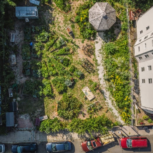 food forest square