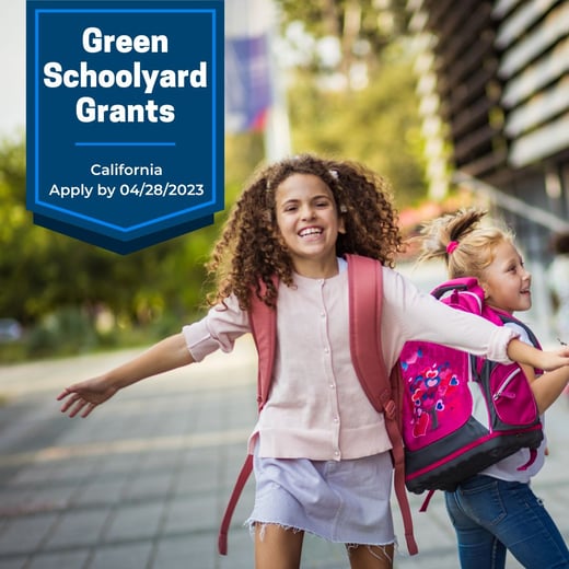 green schoolyard sq