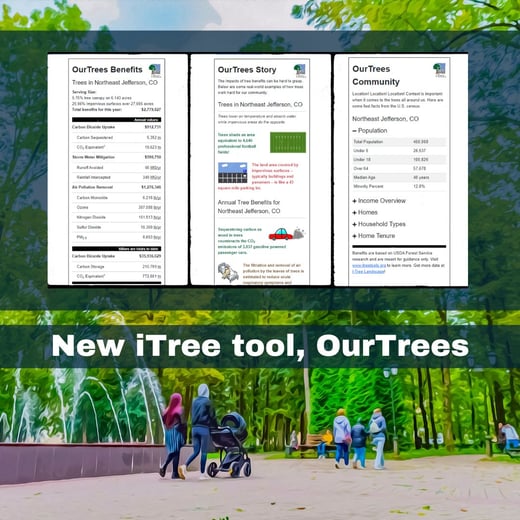 i tree sq