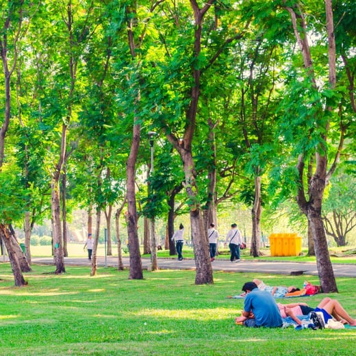 park sq