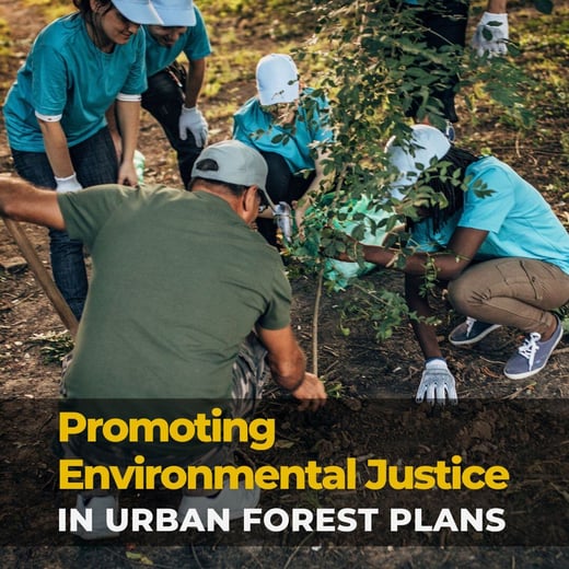 promoting environmental justice in urban tree plans