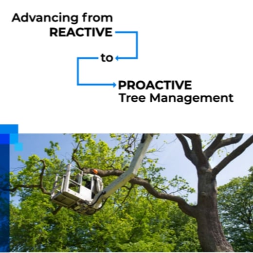 reactive to proactive tree management