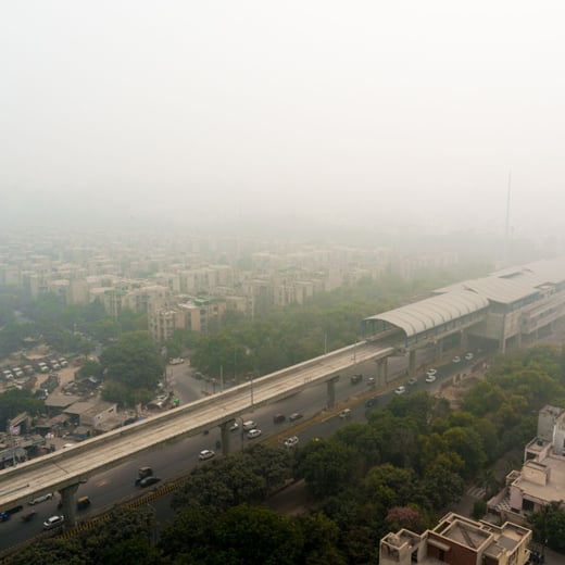 smog sq