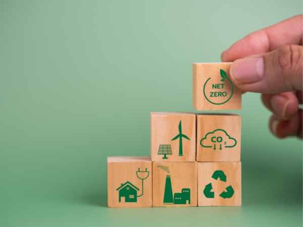 urban forest carbon credits
